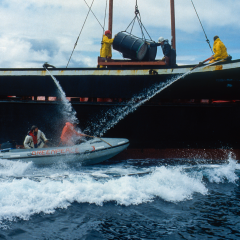 NEW ISSUE: Radiation Protection Today